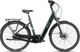 Besv ct 2.3 ls, deep sea green gloss, merk Besv met EAN 4715109793581 in de categorie E-Bikes