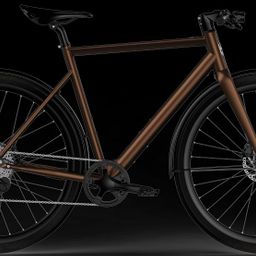 Desiknio Pinion Urban C1.6 M, Copper Brown, merk Desiknio met EAN PIU-M-C06-COP-03 in de categorie E-Bikes