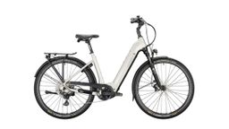 VICTORIA eManufaktur 12.8, Good Grey, merk Victoria met EAN 4251507984362 in de categorie E-Bikes