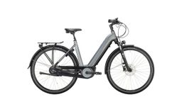 VICTORIA eTrekking 11.4 H, Carbonite Grey Matt, merk Victoria met EAN 4251507986380 in de categorie E-Bikes